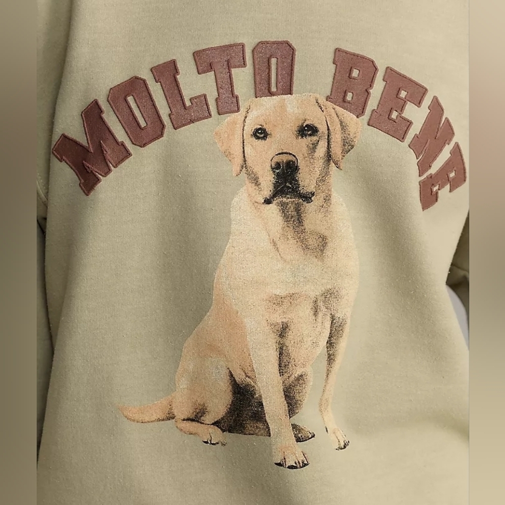 Anthropologie Dogs Graphic Sweatshirt - Picture 3 of 9